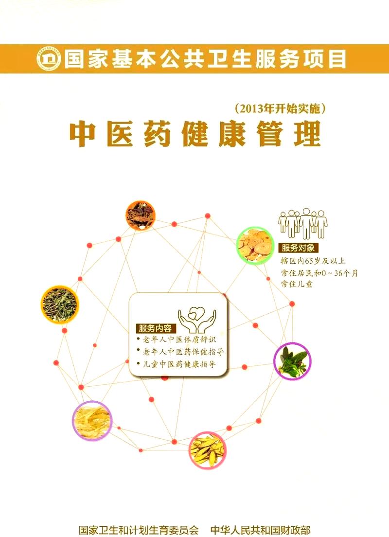 国家基本公共卫生服务项目中的中医药健康管理服务与远程健康管理服务
